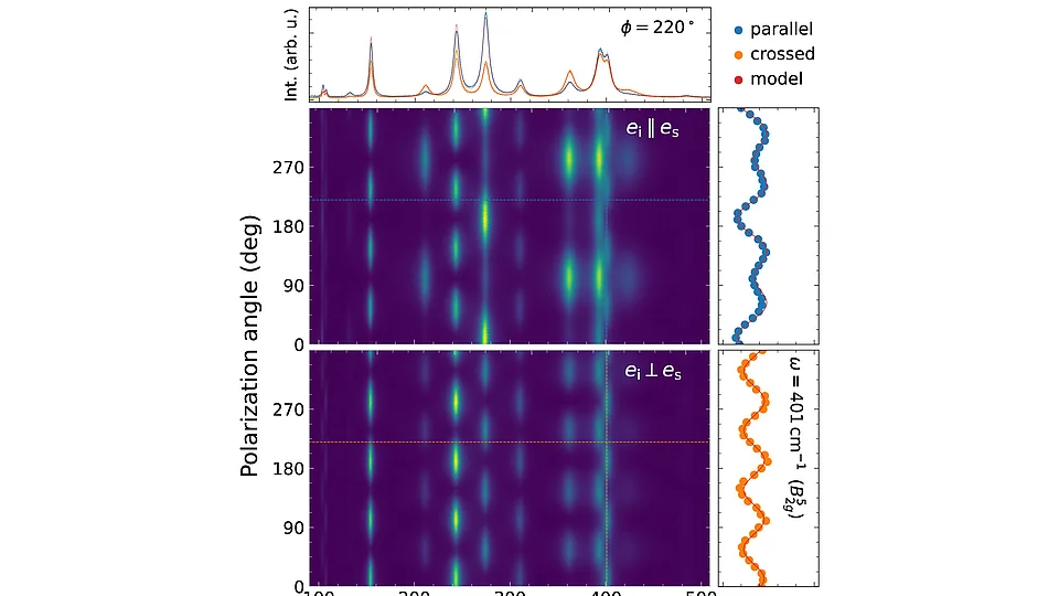 Farbkodierte Diagramme polarisationswinkelaufgelöster Raman-Spektren von LaInO3, die die Intensität in Abhängigkeit der Raman-Verschiebung für parallele und gekreuzte Polarisationskonfigurationen zeigen, mit periodischen Winkelschwankungen der Peakintensität. Seitliche Diagramme zeigen die sinusförmige Intensitätsvariation einer einzelnen Mode bei 401 cm⁻¹ (B2g⁵) in Abhängigkeit vom Polarisationswinkel.