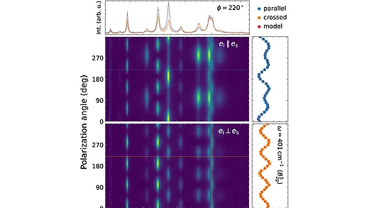 Color-map plots of polarization-angle-resolved Raman spectra of LaInO3, showing intensity vs. Raman shift for parallel and crossed polarization configurations, with periodic angular oscillations in peak intensity. Side panels highlight the sinusoidal intensity variation of a single mode at 401 cm⁻¹ (B2g⁵) with polarization angle.
